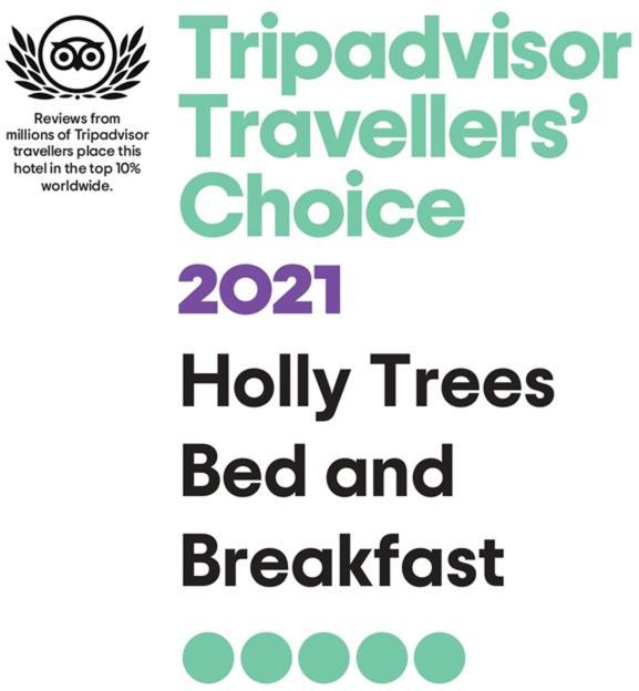 Holly Trees *